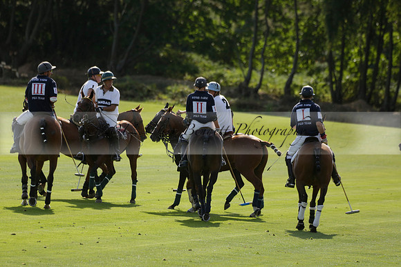 Pandas (white) v Home Farm (navy) in a Park House West Sussex Cup Polo match on Brooksfield at Cowdray Park Polo Club on Friday 30 August 2013. 2013.08.30 www.polopictures.co.uk