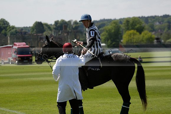 Maiz Dulce v Pluma Negra in a Jubilee 6 Goal Polo match 2013.05.27