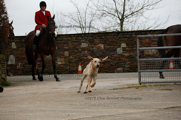 _CB_0954