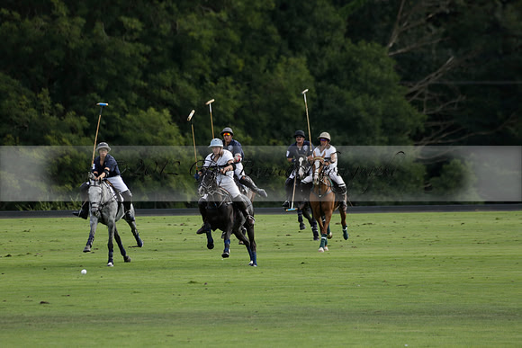 Pandas (white) v Home Farm (navy) in a Park House West Sussex Cup Polo match on Brooksfield at Cowdray Park Polo Club on Friday 30 August 2013. 2013.08.30 www.polopictures.co.uk