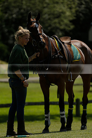 Maiz Dulce v Pluma Negra in a Jubilee 6 Goal Polo match 2013.05.27