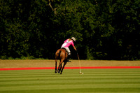 ER Polo v UAE Polo Team/La Paz 2026.07.10