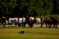 Cowdray Vikings v Yaguara 2026.07.13