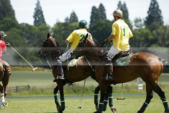 Maiz Dulce v Emlor in a Barrett Cup Polo match 2013.06.30