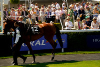 Race 3 The Rolls-Royce Oak Tree Stakes 2026.07.29