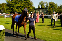 Race 6 The Coral Charlton Handicap Stakes 2026.07.29