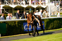 Race 7 The HKJC World Pool Handicap Stakes 2026.07.29