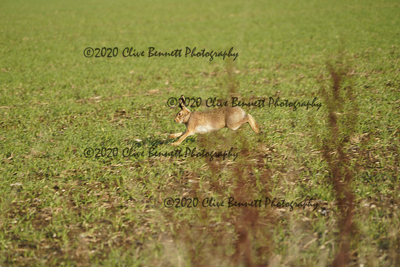 _CAB0760