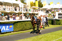 Race 3 The Coral Golden Mile 2026.07.31
