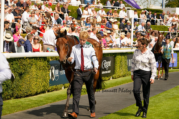 _CAB1603