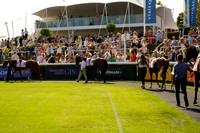 Race 6 The Whispering Angel Nursery Handicap Stakes 2026.07.30