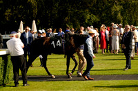 _CAB3572