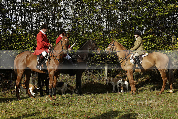 Devon & Somerset StagHounds meet at Five Cross Ways on Thursday 17 October 2013. 2013.10.17 www.polopictures.co.uk