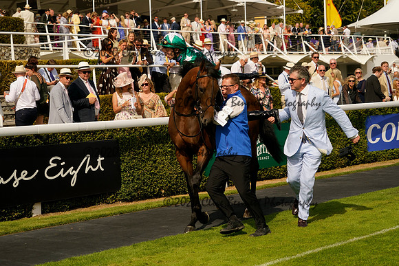 _CAB0797