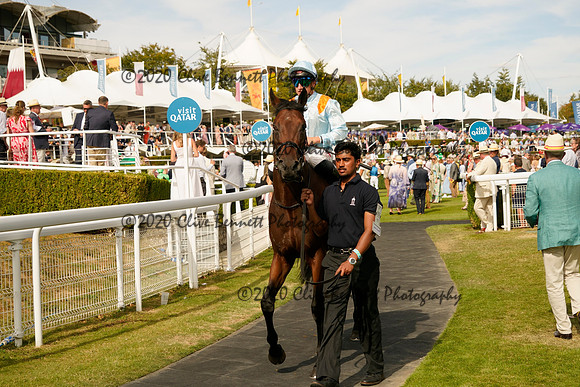 _CAB1194