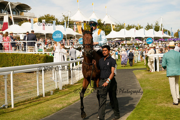 _CAB1195