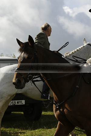 Devon & Somerset StagHounds meet at Five Cross Ways on Thursday 17 October 2013. 2013.10.17 www.polopictures.co.uk