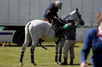 Enigma v Four Quarters Black Tyro Cup Polo match 2013.04.30