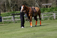 Enigma v Four Quarters Black Tyro Cup Polo match 2013.04.30