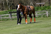Enigma v Four Quarters Black Tyro Cup Polo match 2013.04.30
