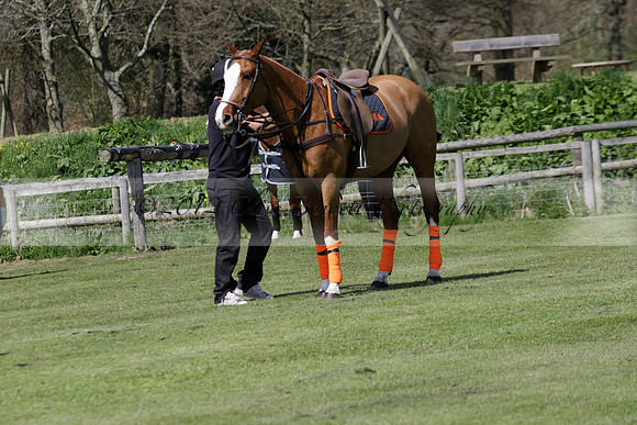 Enigma v Four Quarters Black Tyro Cup Polo match 2013.04.30