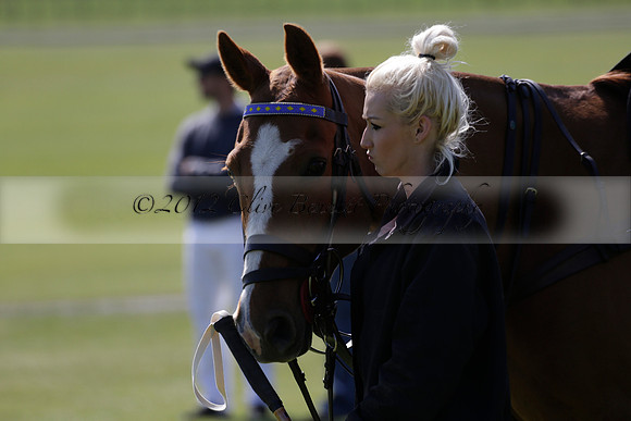 Enigma v Four Quarters Black Tyro Cup Polo match 2013.04.30