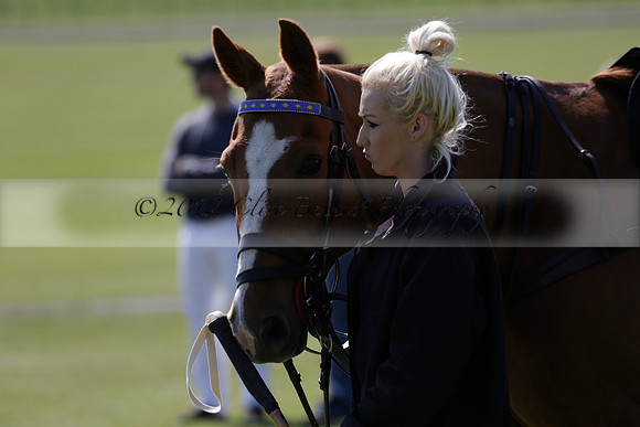 Enigma v Four Quarters Black Tyro Cup Polo match 2013.04.30