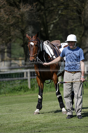 Enigma v Four Quarters Black Tyro Cup Polo match 2013.04.30