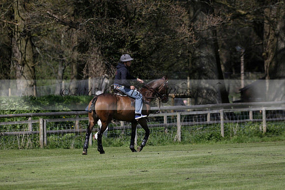 Enigma v Four Quarters Black Tyro Cup Polo match 2013.04.30