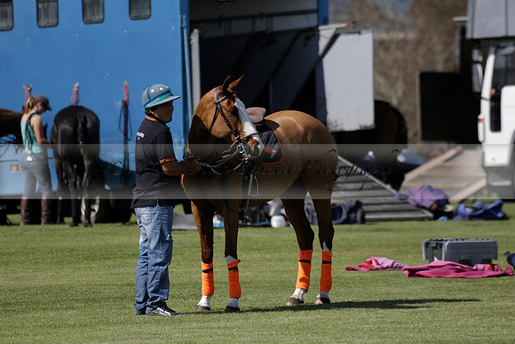 Enigma v Four Quarters Black Tyro Cup Polo match 2013.04.30