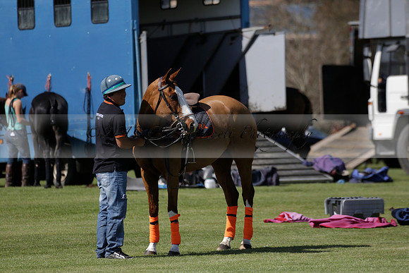 Enigma v Four Quarters Black Tyro Cup Polo match 2013.04.30