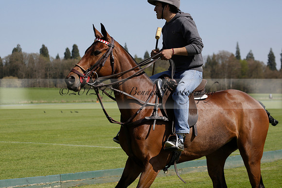 Enigma v Four Quarters Black Tyro Cup Polo match 2013.04.30
