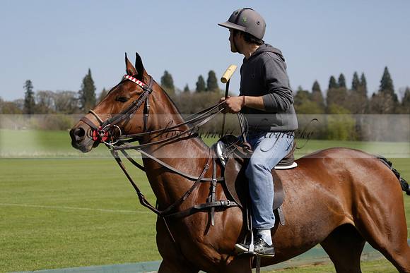 Enigma v Four Quarters Black Tyro Cup Polo match 2013.04.30