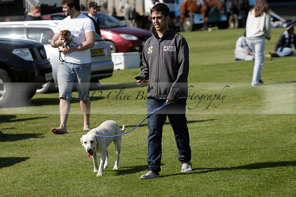 Enigma v Four Quarters Black Tyro Cup Polo match 2013.04.30