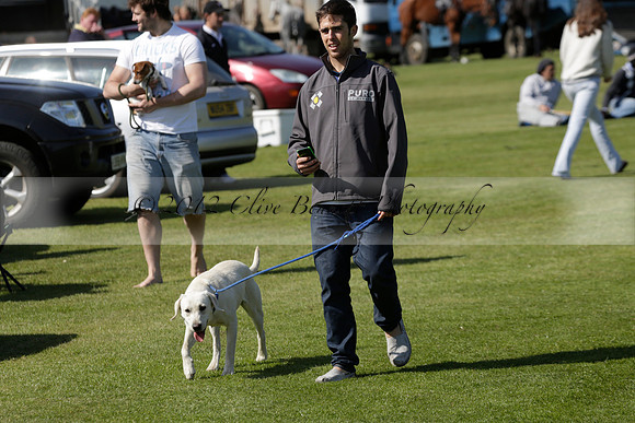 Enigma v Four Quarters Black Tyro Cup Polo match 2013.04.30