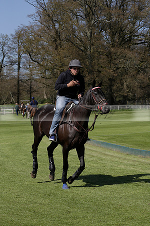 Enigma v Four Quarters Black Tyro Cup Polo match 2013.04.30