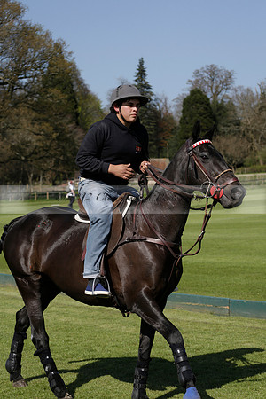 Enigma v Four Quarters Black Tyro Cup Polo match 2013.04.30