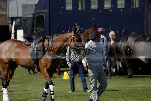 Enigma v Four Quarters Black Tyro Cup Polo match 2013.04.30