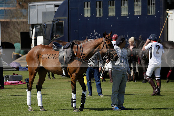 Enigma v Four Quarters Black Tyro Cup Polo match 2013.04.30