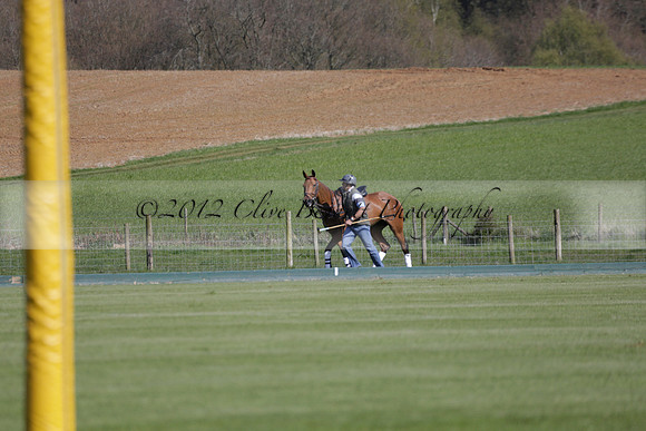 Enigma v Four Quarters Black Tyro Cup Polo match 2013.04.30
