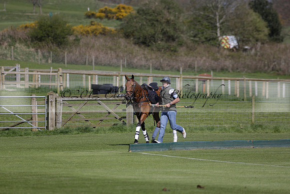Enigma v Four Quarters Black Tyro Cup Polo match 2013.04.30