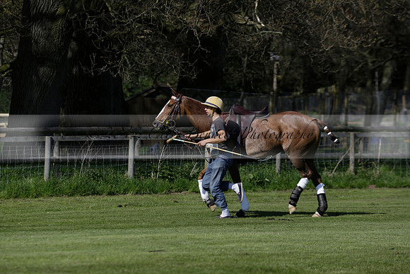 Enigma v Four Quarters Black Tyro Cup Polo match 2013.04.30