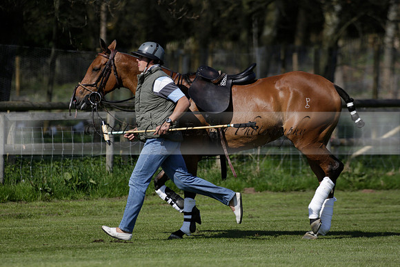 Enigma v Four Quarters Black Tyro Cup Polo match 2013.04.30