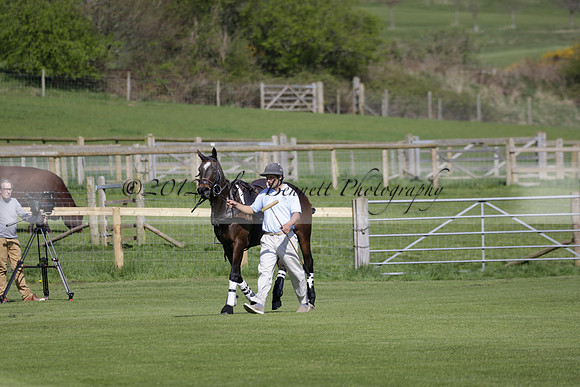 Enigma v Four Quarters Black Tyro Cup Polo match 2013.04.30