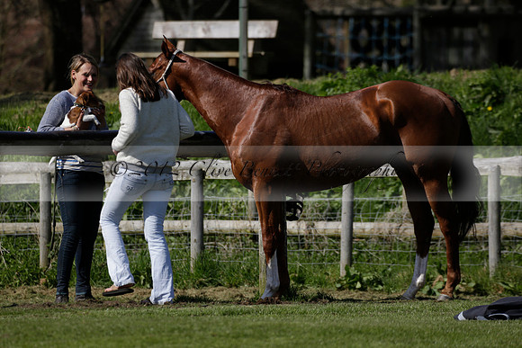 Enigma v Four Quarters Black Tyro Cup Polo match 2013.04.30