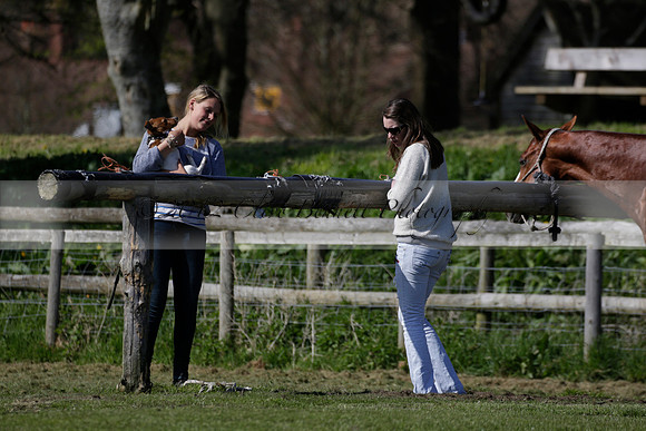 Enigma v Four Quarters Black Tyro Cup Polo match 2013.04.30