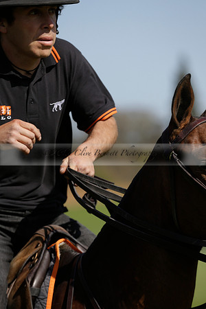 Enigma v Four Quarters Black Tyro Cup Polo match 2013.04.30