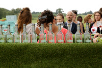 Cowdray Vikings v Los Hamblinos in the Bloom British Ladies Open Championship polo match 2013.07.20