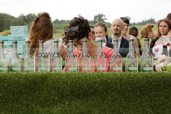 Cowdray Vikings v Los Hamblinos in the Bloom British Ladies Open Championship polo match 2013.07.20