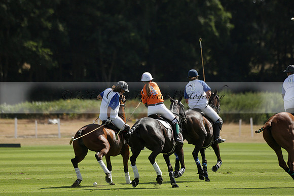 Cowdray Vikings v Los Hamblinos in the Bloom British Ladies Open Championship polo match 2013.07.20
